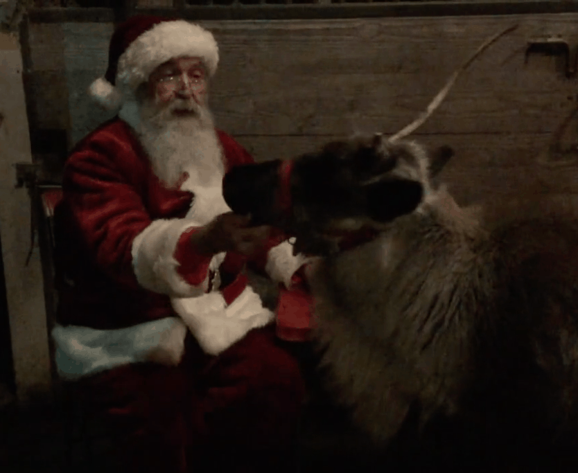 Santa and reindeer